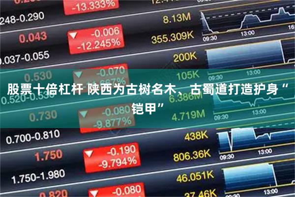 股票十倍杠杆 陕西为古树名木、古蜀道打造护身“铠甲”
